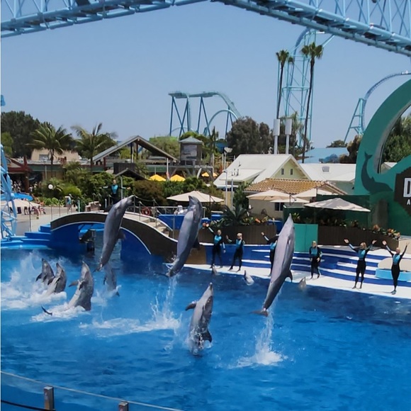 Sold🚫Not For Sale..❌ - Picture 4 of 4